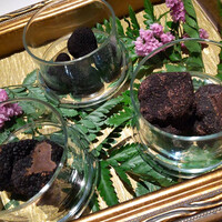 Terres de Truffes, Tokyo - 