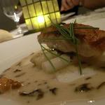 ヒルトップ カシータ - 