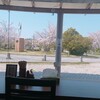 セルフうどん屋 - 桜の見える席