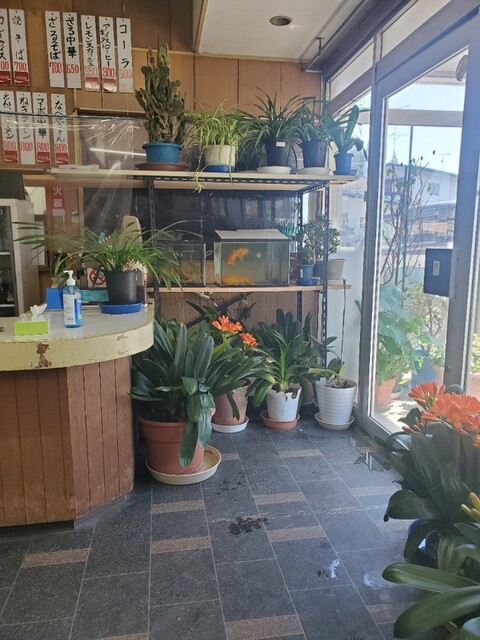 京の森ドライブイン - 小梨（食堂）の写真