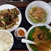 Kyuuryuu - 全体図、大根サラダが、大きめ。台湾ラーメンはこれでもミニサイズ