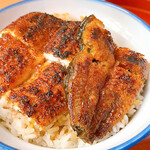 うなぎ 横輪おりおり - うな丼 蛍 半身(3切れ)