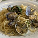 ITTICA MANTOVAN S.N.C. - リグーリア産のアサリは甘味があり凄くおいしい！！！！！