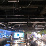 SUMIKA ARCHTECTURE CAFE - 