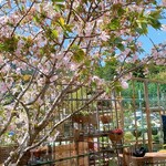 うなぎ 横輪おりおり - 小屋からの景色