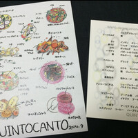 クイントカント - 