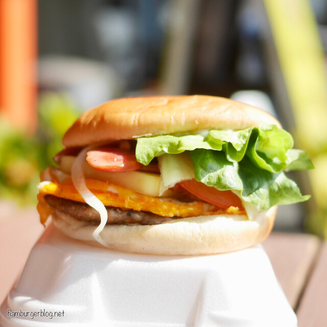 Hikari Hon Ten photo 4