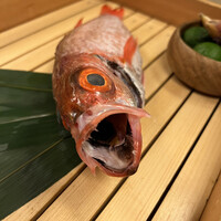 のどぐろ専門 銀座 中俣 - 
