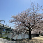 うどん ゆきの - 