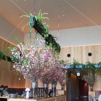 横浜焼肉kintan - 