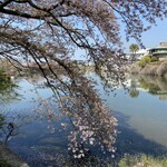 餅匠しづく - 桜の頃