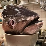 Ata - マグロの頭