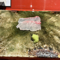 鮨　銀座　鰤門 - 