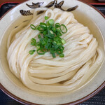 讃岐うどん いわい - ひやひやうどん（中）　500円