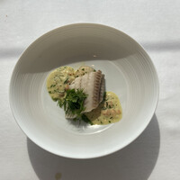 シグネチャー - 