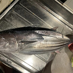 鮨と日本料理 ふう - 