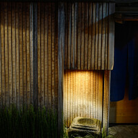 本湖月 -  本湖月 -
