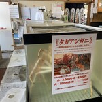 江戸前鶴鮨 - 高足蟹