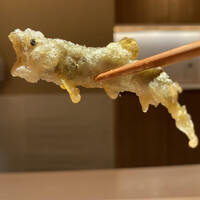 蓮 三四七 - 