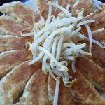 石松餃子 本店 - 餃子中（15個）