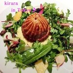 レフェルヴェソンス - 