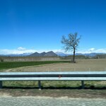 Antica Pasticceria Castino - 郊外には農地が広がる