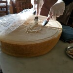 ピッツェリア ティンタレッラ - 