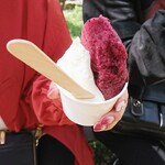 ジェラート工房 ドナ - ミルク  ブルーベリー