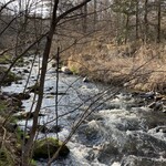 丸山珈琲  - お店の前