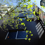 志な乃 - 爽やかだけど、ちょい風が強いかな