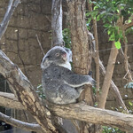 カフェ ノース ガーデン - 