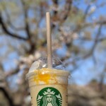 スターバックス・コーヒー - 