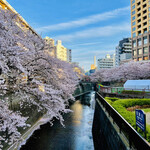 オニバスコーヒー - ◎東京の桜名所で一番人気の目黒川沿いの桜。