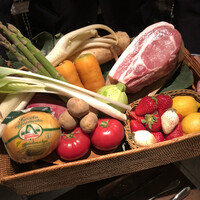 オッジ ダルマット 西麻布店 - 