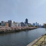 Ajiman - 中之島公園は、ギリギリ桜が見られました。