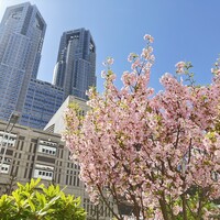 グラスコート - 