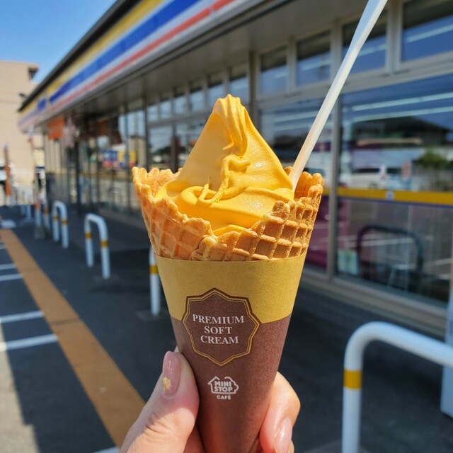 MINISTOP Nagoya Wakatsurucho Ten