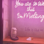 メルティング イン ザ マウス - 