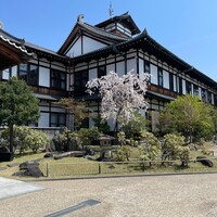日本料理 花菊 - 