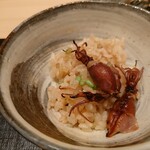 伯雲 - 蛍烏賊、スナップエンドウ、蕗のご飯
