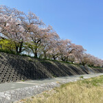 Kamogawa Atsu Ando Kicchin - 