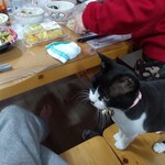 ヤオヨシ - 食べてみた