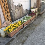 みな食堂 - お花が植えているお店は美味しいという方程式があるらしい♪