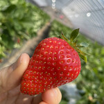 姫路ハートフル観光農園 - 