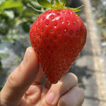 姫路ハートフル観光農園 - 