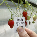 姫路ハートフル観光農園 - 