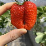 姫路ハートフル観光農園 - 