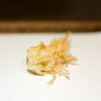 日本橋 蕎ノ字 - 