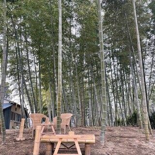 竹林カフェ 風_2