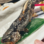 小川の魚 - 